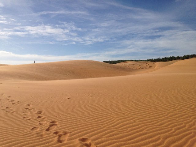Les dunes de Mui Ne