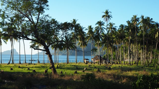 El Nido : Las cabanas