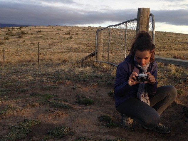 Lacs Tekapo et Alexandrina