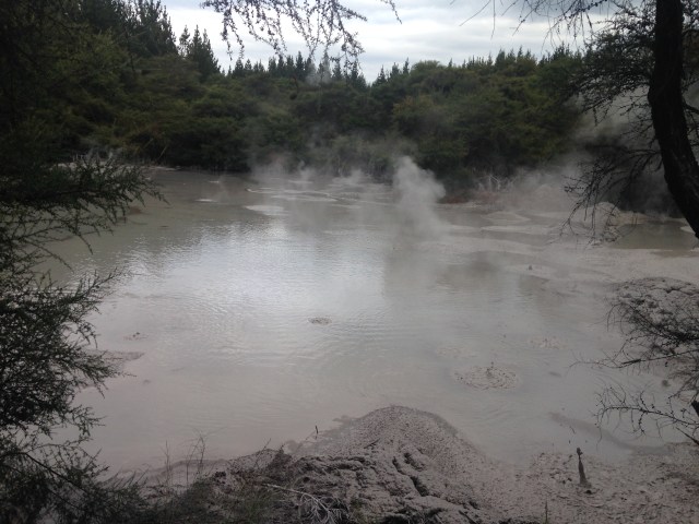 Mud Pool