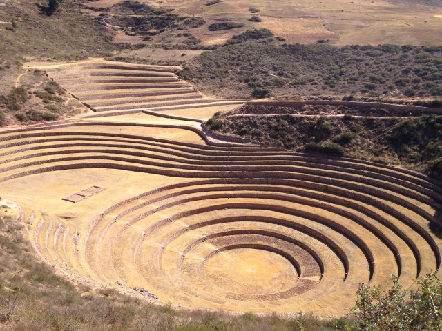 Moray